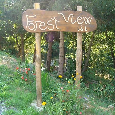גאבי Forest View B&B מראה חיצוני תמונה