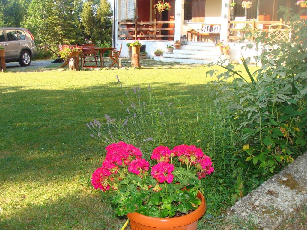 גאבי Forest View B&B מראה חיצוני תמונה